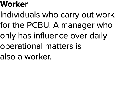 Worker Individuals who carry out work for the PCBU  A manager who only has influence over daily operational matters i   