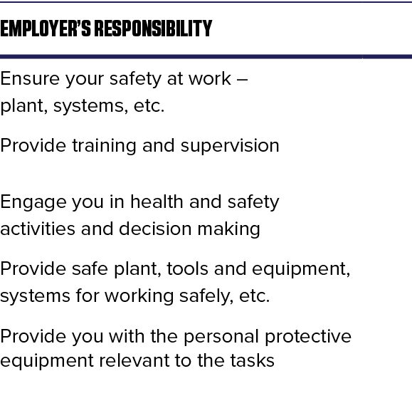 Employer s responsibility,,Ensure your safety at work   plant, systems, etc ,,Provide training and supervision,,Engag   