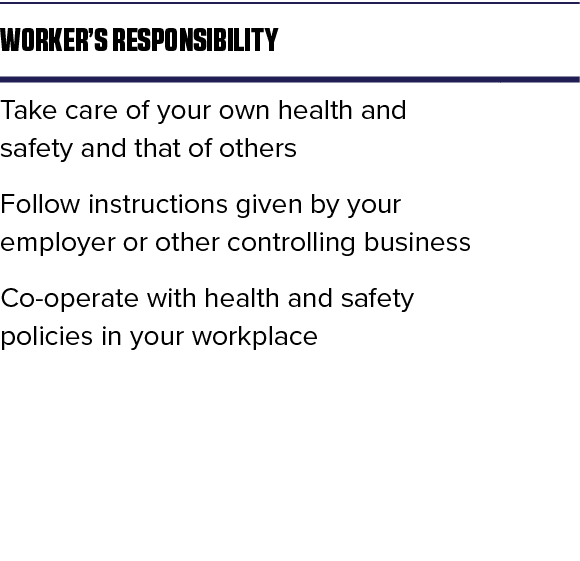 Worker s responsibility,,Take care of your own health and safety and that of others,,Follow instructions given by you   