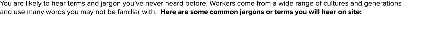 You are likely to hear terms and jargon you ve never heard before  Workers come from a wide range of cultures and gen   