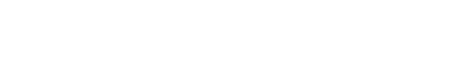 FOUNDATION PASSPORT - CONSULTANTS