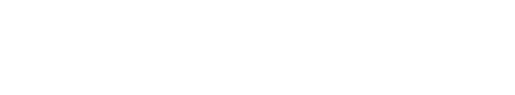 Leadership in Safety