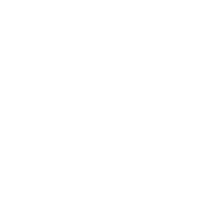 Programme Pathways