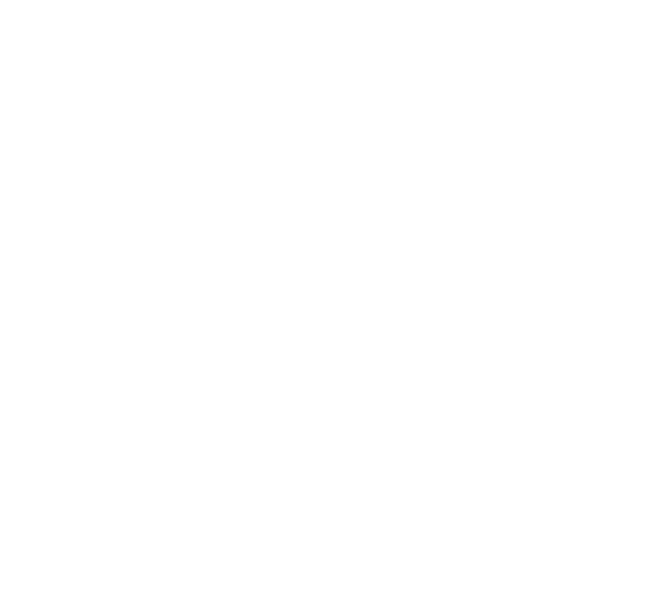 Daily Check by the Operator: Tyre pressure and condition All brakes are working efficiently Fuel, water, oil levels,    