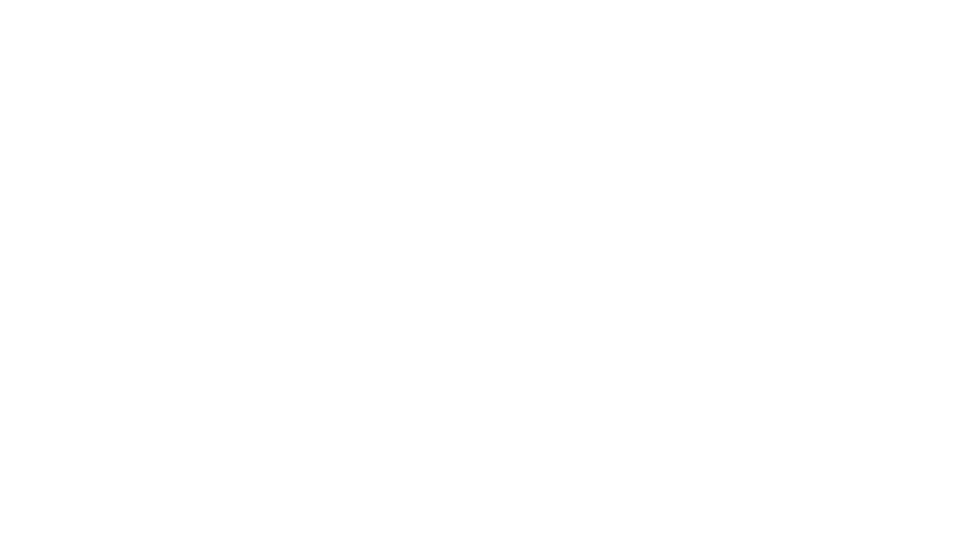 PASSPORT HANDBOOK